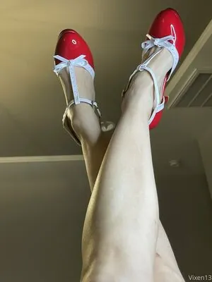 vixenkat