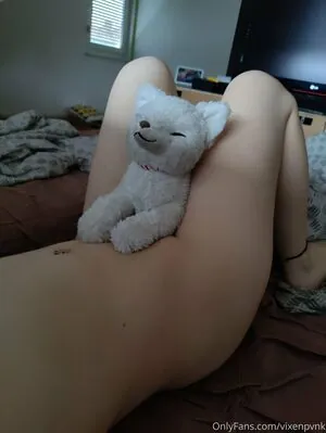 vixenpvnk