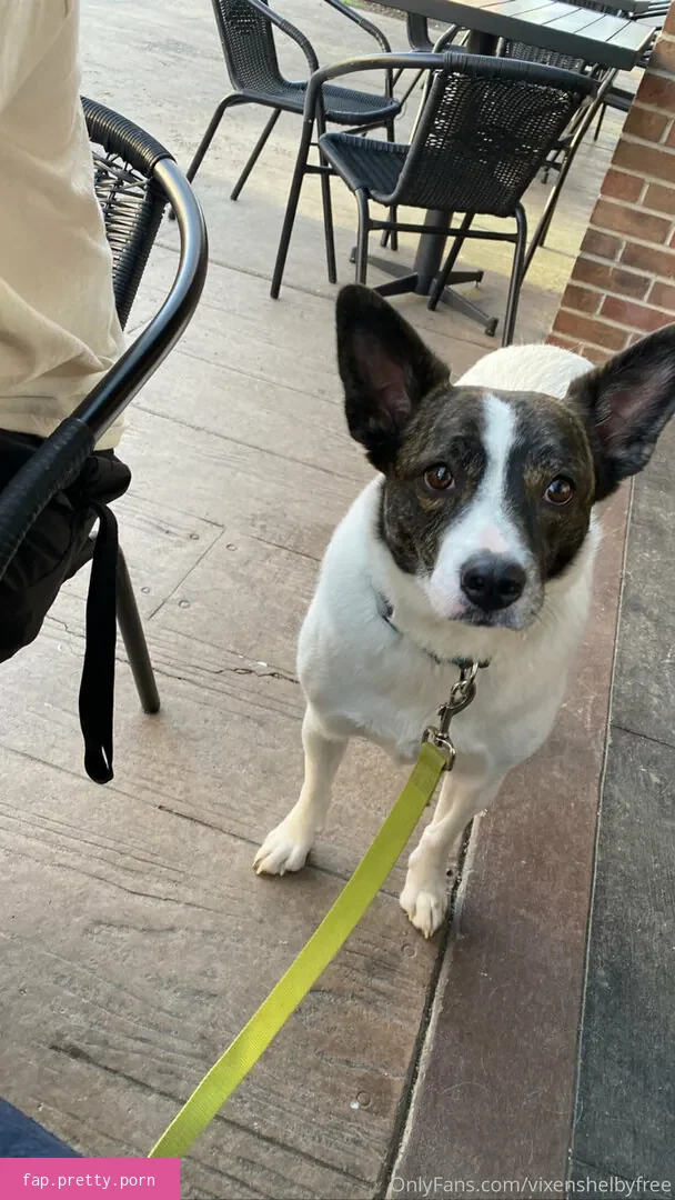 vixenshelbyfree - Photo #50
