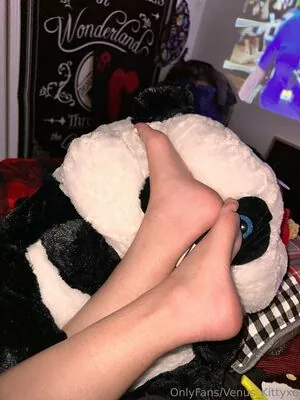 venus_kittyxo