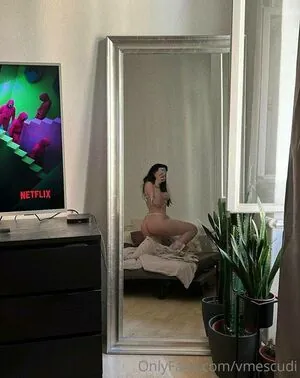 vmescudi