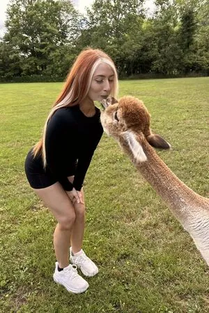 voxytwitch