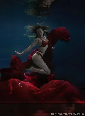 vallery_sakura