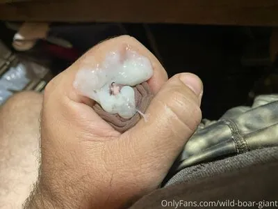 wild-boar-giant