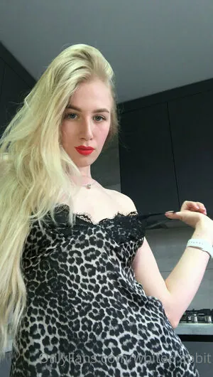 whiterrabbit