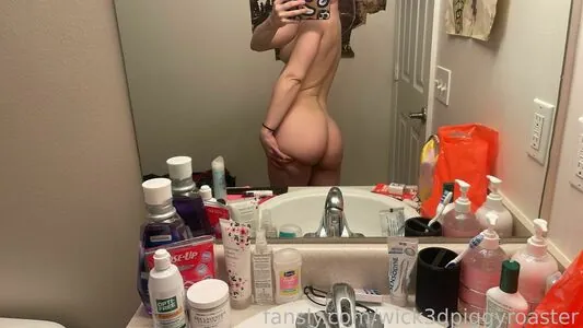 wick3dpiggyroaster
