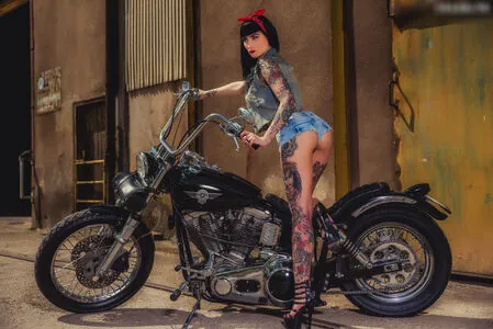 Wildcat Ink