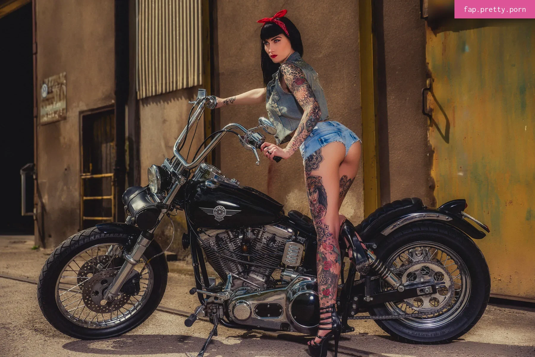 Wildcat Ink - Photo #33