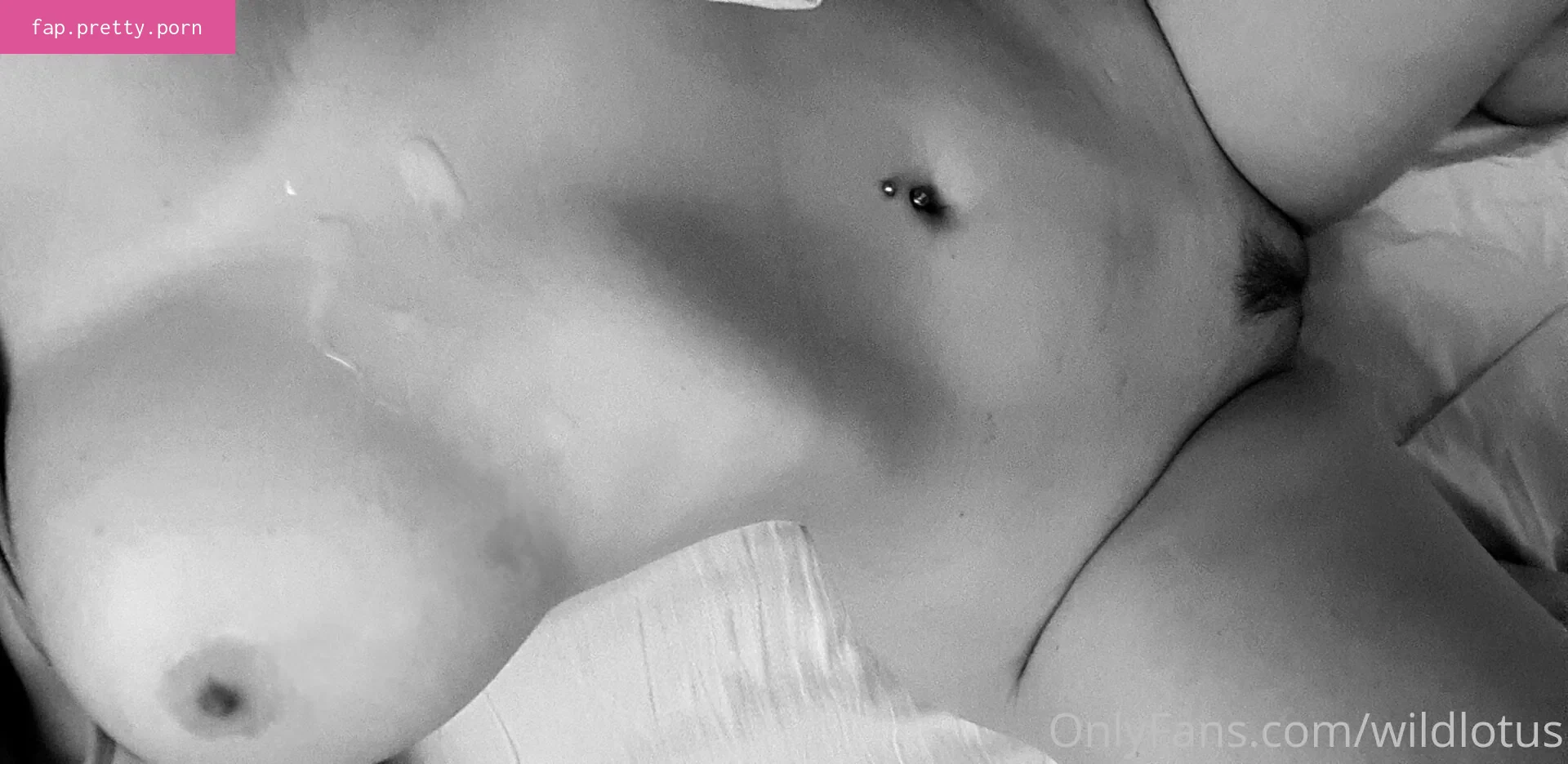 Wildlotus - Photo #23