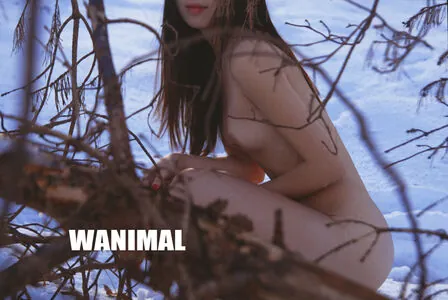 Wanimal Models