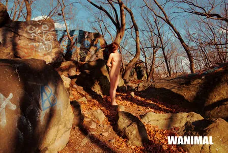 Wanimal Models