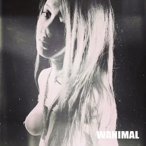 Wanimal Models