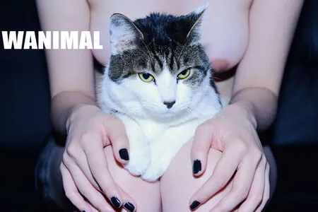 Wanimal Models