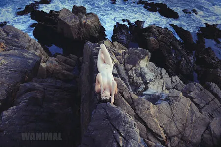 Wanimal Models