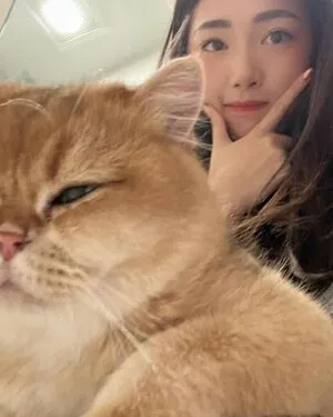 xChocobars