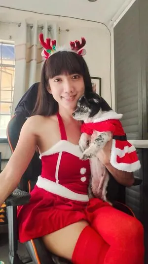 Xdreamangel