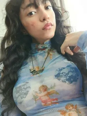 xsugarvulpesx