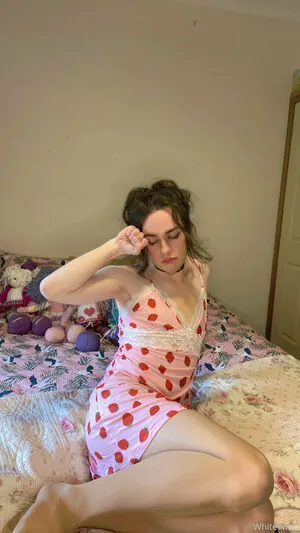 xwhitewrenx