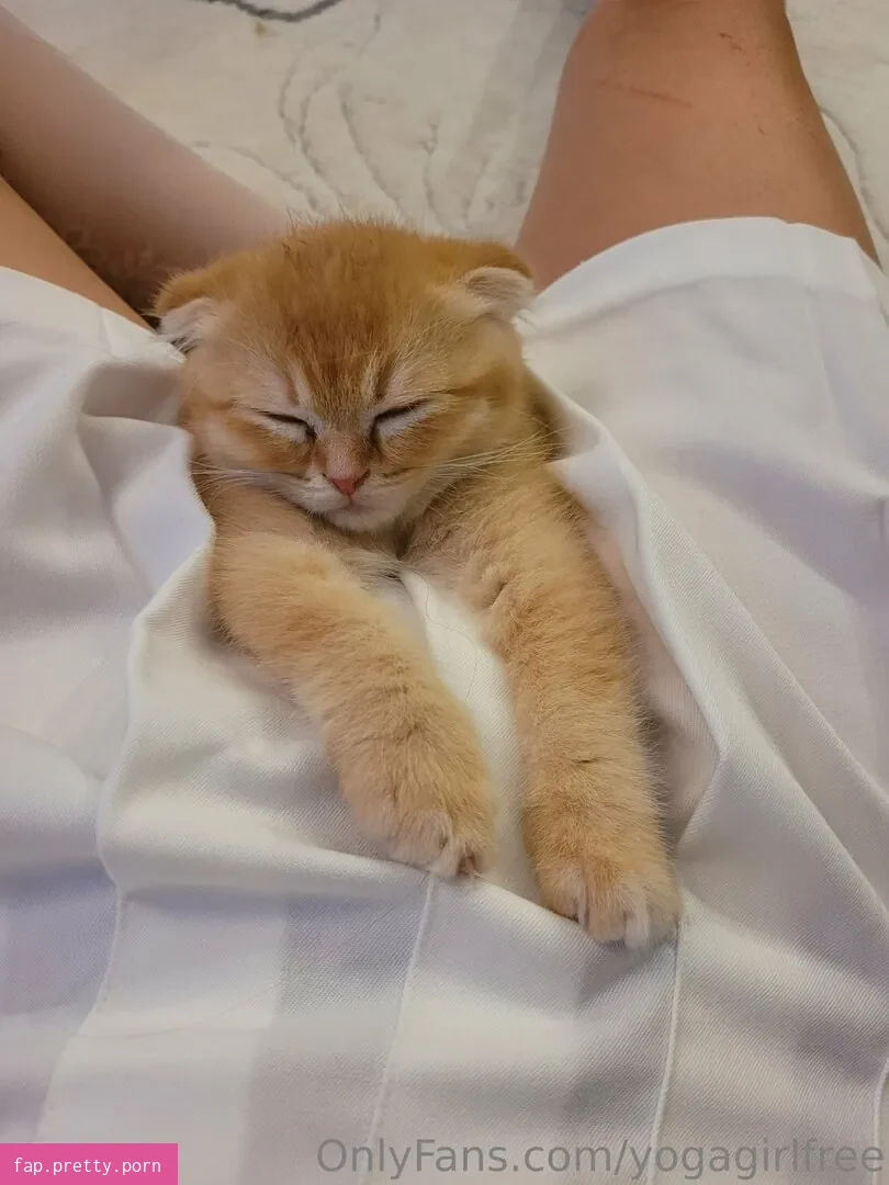 yogagirlfree - Photo #31